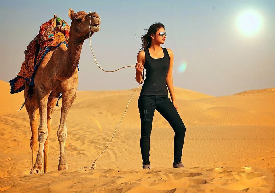 Camel Safari